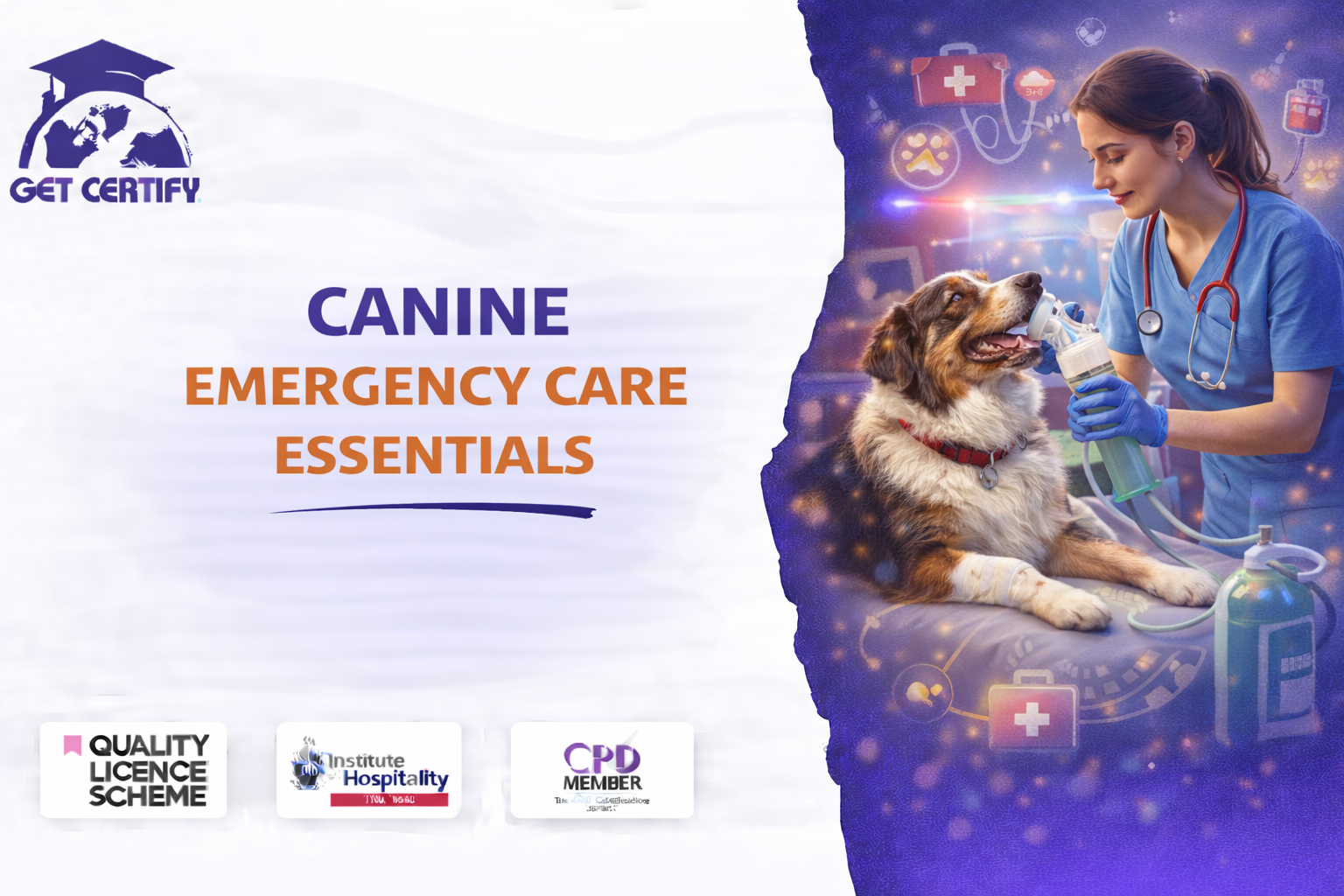 Canine Emergency Care Essentials