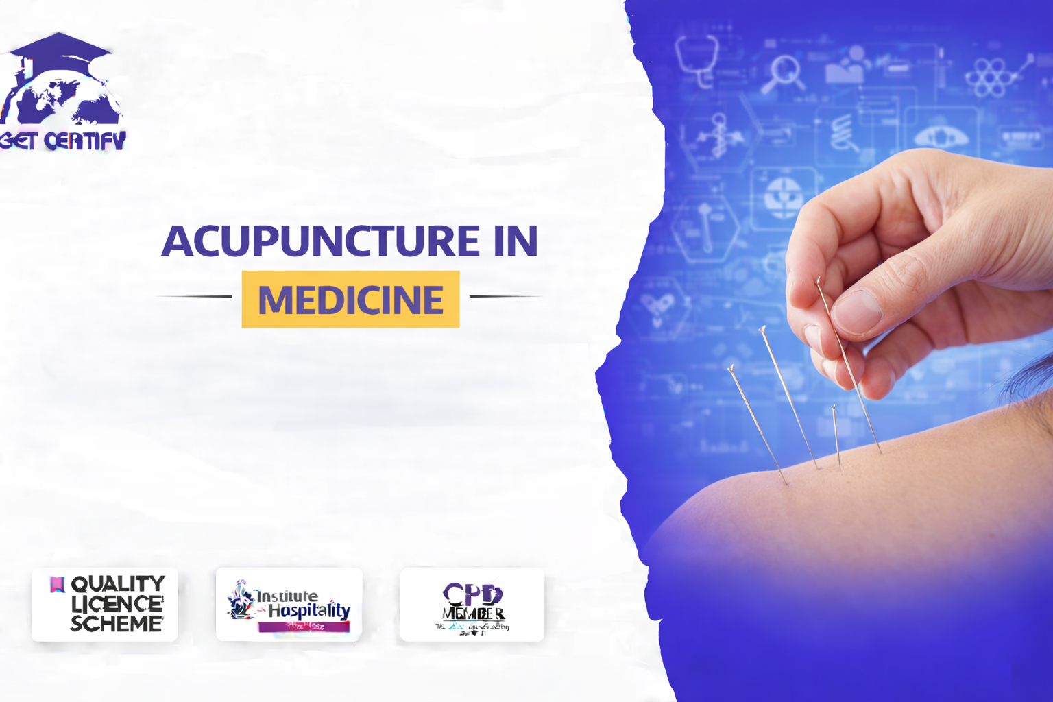 Acupuncture in Medicine