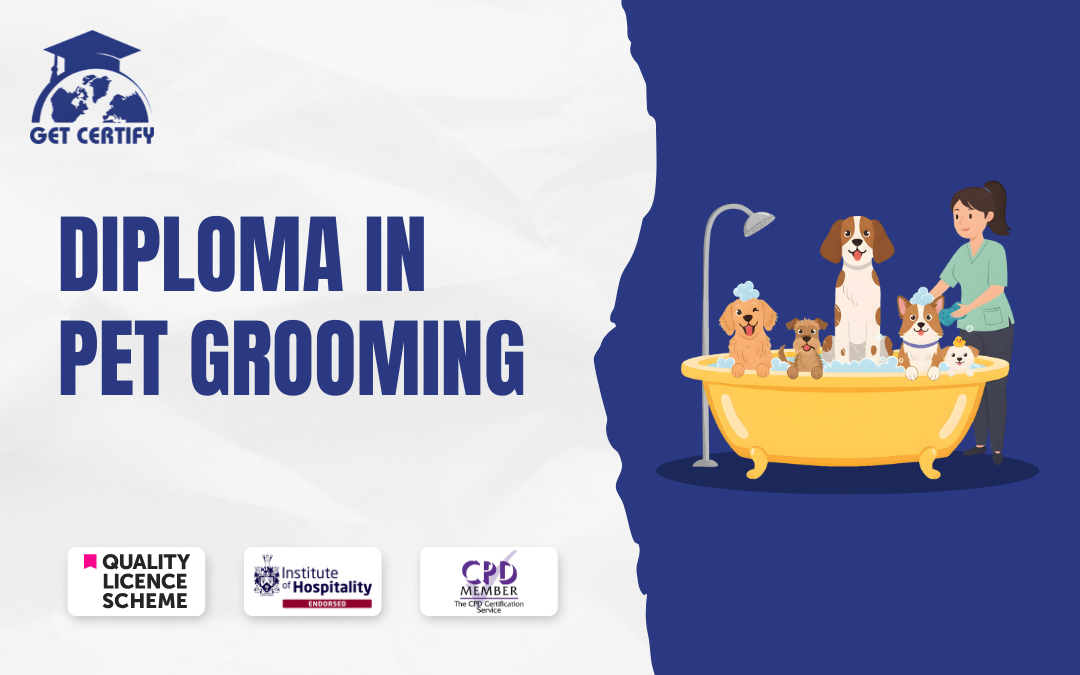 Diploma in Pet Grooming