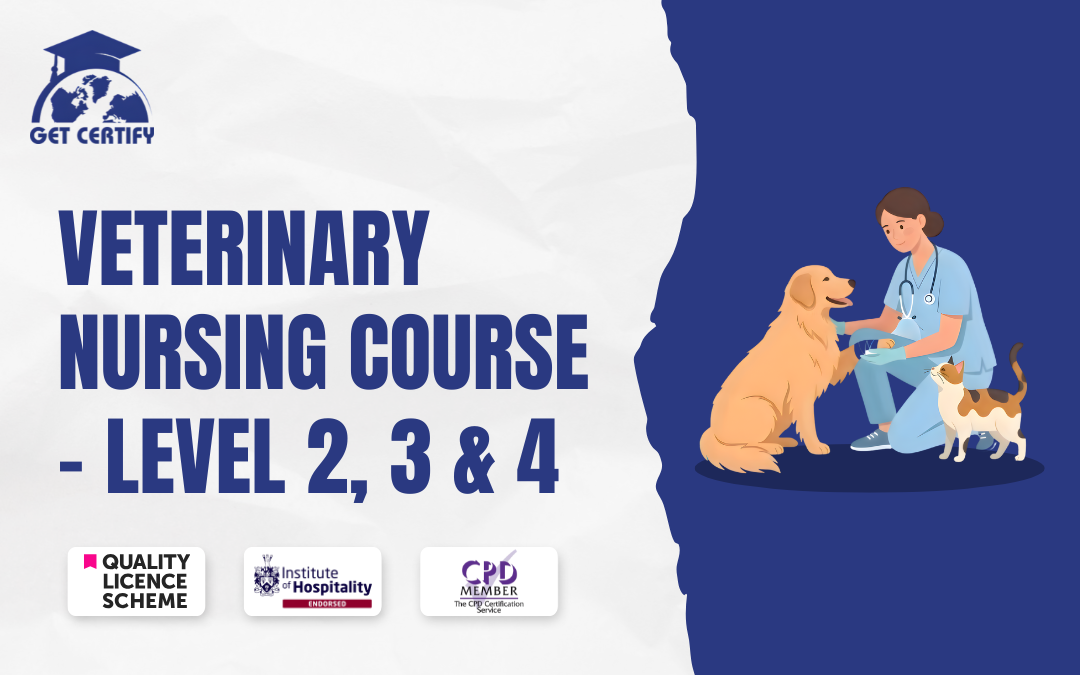 Veterinary Nursing Course - Level 2, 3 & 4