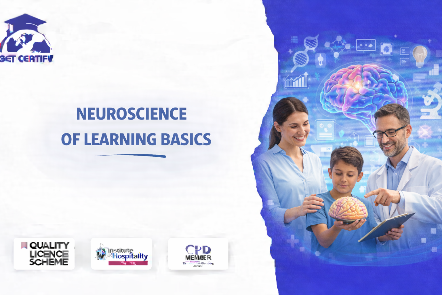 Neuroscience of Learning Basics